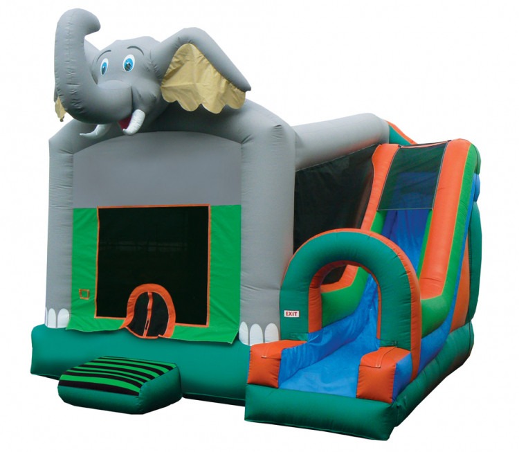 Bounce House With Slide Rentals